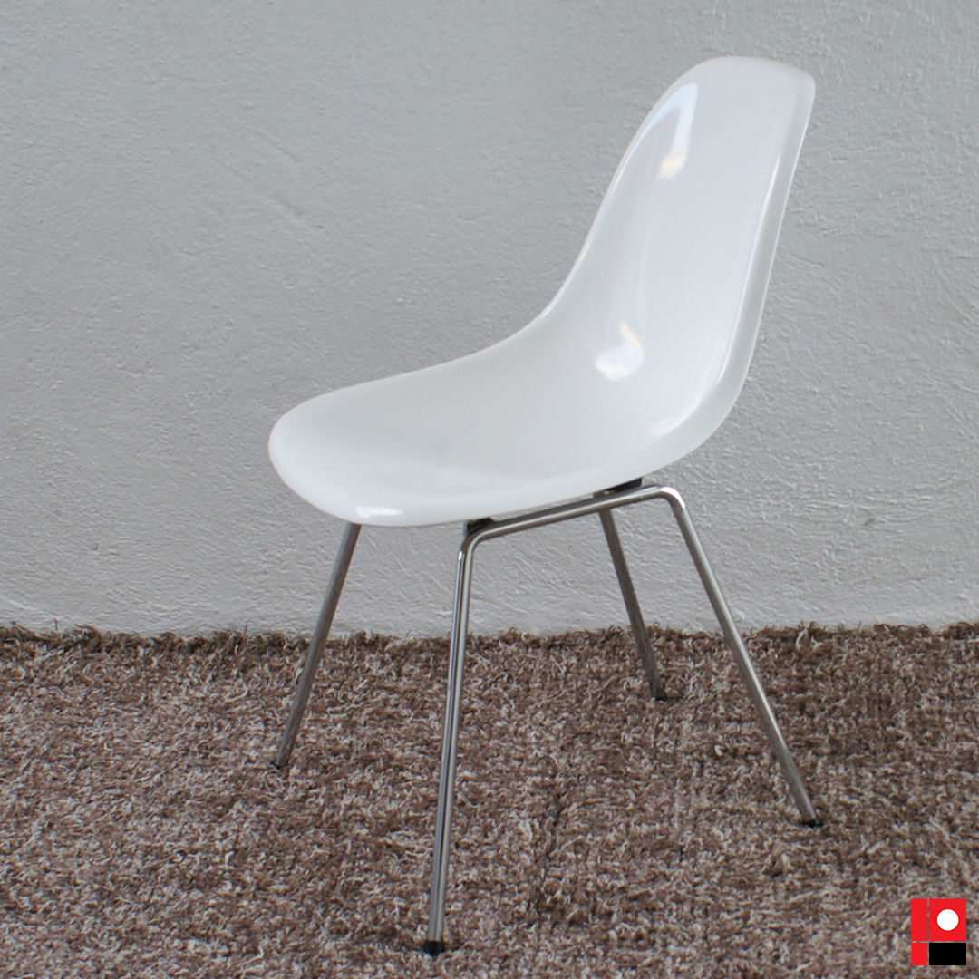 conchinha branca fixa.jpg